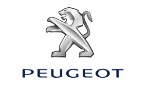 thiết kế web peugeot