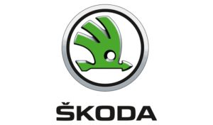 thiết kế web skoda